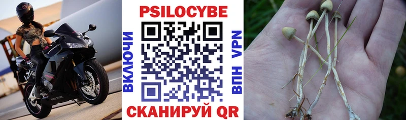 Псилоцибиновые грибы Cubensis Высоцк
